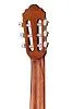 Cort AC50-WBAG-OP Classic Series Классическая гитара.-5