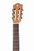 Alhambra 8.000 Z-Nature CW EZ Open Pore Гитара классическая со звукоснимателем.-1