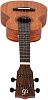 Flight NUC500 Укулеле концерт-8