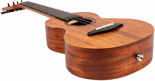 Flight NUC500 Укулеле концерт