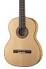Hora SS500 Eco Классическая гитара.-1