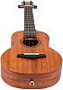 Flight NUC500 Укулеле концерт-7
